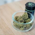 How To Find Your New Favorite Cannabis Strain